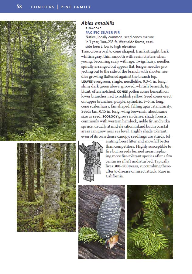 Sample page from Trees and Shrubs of the Pacific Northwest