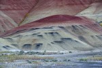 Black Magnesium Deposits in Painted Hills w/ Golden Bee Plant & John Day's Pincushion