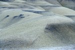 Black Magnesium Deposits in Painted Hills