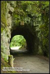 Tunnel through Chuckanut sandstone