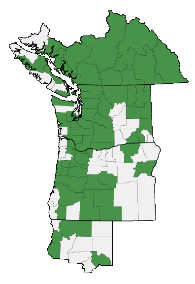 Map of where Linaria vulgaris is found