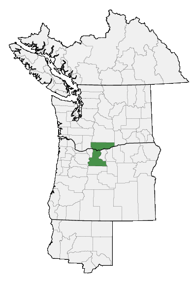 Map of where Lomatium suksdorfii is found