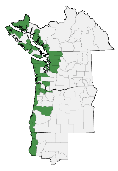Map of where Lupinus arboreus is found