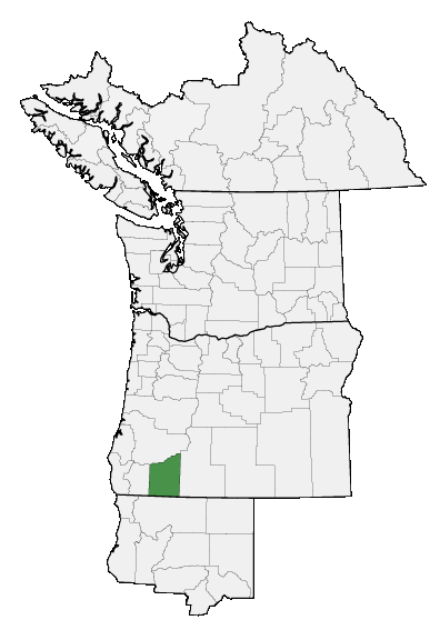 Map of where Lupinus lepidus var. ashlandensis is found