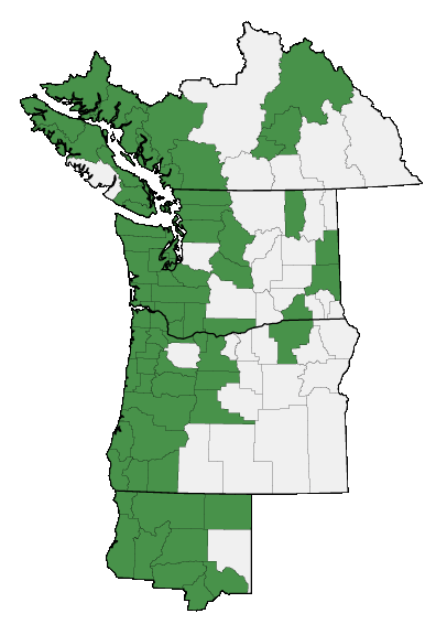 Map of where Physocarpus capitatus is found