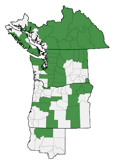 Map of where Pyrola chlorantha is found