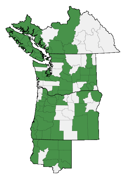 Map of where Micranthes integrifolia is found