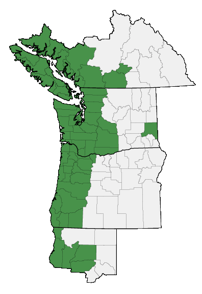 Map of where Jacobaea vulgaris is found