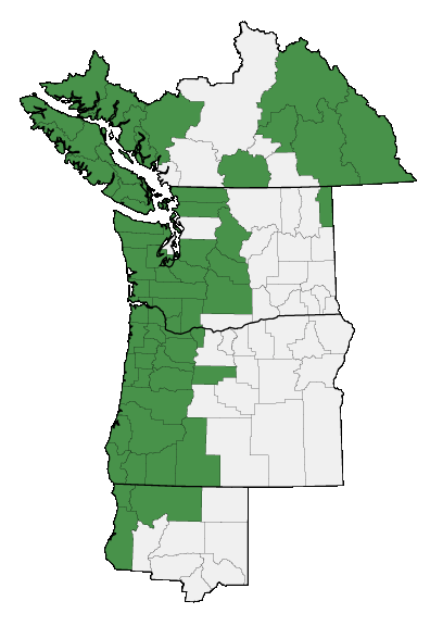 Map of where Vaccinium parvifolium is found