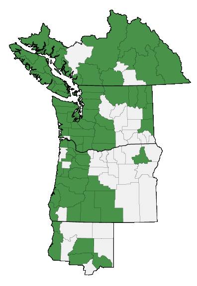 Map of where Veronica scutellata is found