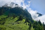 Sauk Mountain, Mt. Baker-Snoqualmie NF