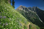 High Pass, Mt. Baker-Snoqualmie NF