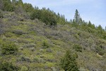 Trinity County, California