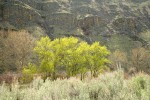 Yakima Canyon, Washington