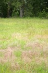 Siskiyou Field Institute, Oregon