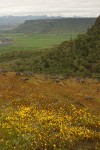 Goldfields w/ view to Lower Table Rock & Agate Desert farmland under rain clouds