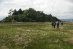 Native Plant Society field trip participants walk across salt meadow toward Craft Island