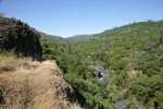 Big Chico Creek Canyon w/ Blue Oak, Canyon Live Oak, Grey Pine