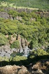 Big Chico Creek Canyon w/ Blue Oak, Canyon Live Oak, Grey Pine