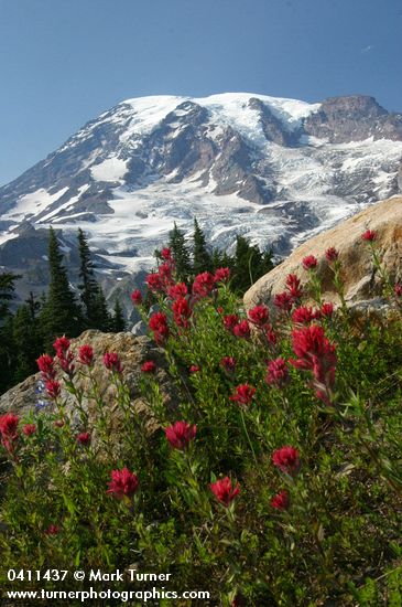 Mount Rainier