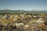 Lava flow w/ Mt. Bachelor, Tumalo Mtn., South Sister, Broken Top, Middle Sister, North Sister on skyline