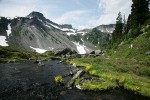 Mountain Monkeyflower beside Bagley Creek w/ Table Mtn bkgnd