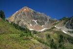 Partridgefoot on rocky ridge w/ Mt. Larrabee bkgnd