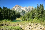 Mountain Hemlocks, Subalpine Firs by small tarn w/ Arctic Willow fgnd, Mt. Larrabee bkgnd