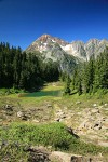 Mountain Hemlocks, Subalpine Firs by small tarn w/ Arctic Willow fgnd, Mt. Larrabee bkgnd