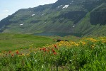 Orange Sneezeweed & Indian Paintbrush above Wildhorse Lake