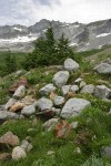 Boston Basin w/ Forbidden Peak on ridge