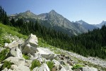 Alpine Lady Ferns among rocks w/ Cutthroat Peak & Whistler Mtn fr Lake Ann Tr (view ~54° NE)