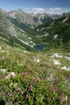 Lake Ann in glacial cirque w/ Whistler Mtn on left skyline, Liberty Bell bkgnd; Pink Mountain-heather fgnd (view east fr near Maple Pass)