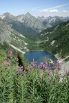 Lake Ann in glacial cirque w/ Whistler Mtn on left skyline, Liberty Bell bkgnd; Fireweed fgnd (view east fr near Maple Pass)