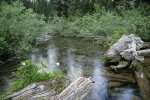 Rainy Lake outlet stream w/ willows