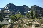 Pink Mountain-heather, White Heather, Whitebark Pine, Engelmann Spruce w/ Stiletto Peak ridge bkgnd