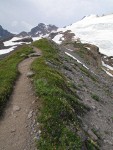 Partridgefoot & Small-flowered Penstemon along Railroad Grade trail w/ Black Buttes & Mt. Baker summit bkgnd