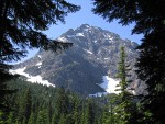 Unnamed peak on Ragged Ridge framed by Mountain Hemlocks