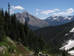 Mt. Hardy & Methow Pass on skyline w/ Subaline Firs on slope