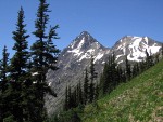 Subalpine Firs on slope above Easy Pass w/ Katsuk & Mesachie Peaks on Ragged Ridge bkgnd