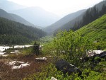 Sitka Mountain-ash & Cascade Blueberries in subaline meadow w/ view to Cascade River
