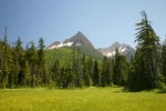 Mountain Hemlocks & Alaksa Yellow Cedars ring Sedge & Narrow-leaved Cottongrass meadow w/ North & South Twin Sisters bkgnd