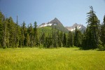 Mountain Hemlocks & Alaksa Yellow Cedars ring Sedge & Narrow-leaved Cottongrass meadow w/ North & South Twin Sisters bkgnd