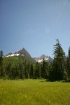 Mountain Hemlocks & Alaksa Yellow Cedars ring Sedge & Narrow-leaved Cottongrass meadow w/ North & South Twin Sisters bkgnd