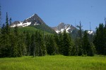 Mountain Hemlocks & Alaksa Yellow Cedars ring Sedge & Narrow-leaved Cottongrass meadow w/ North & South Twin Sisters bkgnd