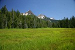 Mountain Hemlocks & Alaksa Yellow Cedars ring Sedge & Narrow-leaved Cottongrass meadow w/ North & South Twin Sisters bkgnd