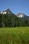 Mountain Hemlocks & Alaksa Yellow Cedars ring Sedge & Narrow-leaved Cottongrass meadow w/ North & South Twin Sisters bkgnd, White Bog Orchid fgnd