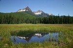 North & South Twin Sisters reflected in small pond in Cottongrass meadow w/ Mountain Hemlocks & Alaksa Yellow Cedars