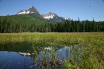 North & South Twin Sisters reflected in small pond in Cottongrass meadow w/ Mountain Hemlocks & Alaksa Yellow Cedars