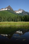 North & South Twin Sisters reflected in small pond in Cottongrass meadow w/ Mountain Hemlocks & Alaksa Yellow Cedars